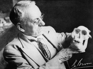 Robert Broom mit dem Schädel von "Mrs. Ples".